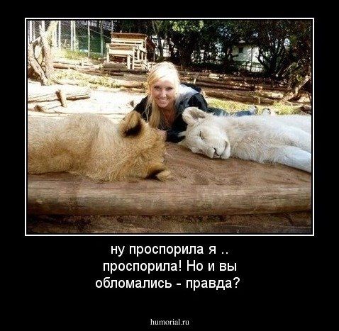 На ЧТО спорим, девушки? ТОП-10 пикантных ставок