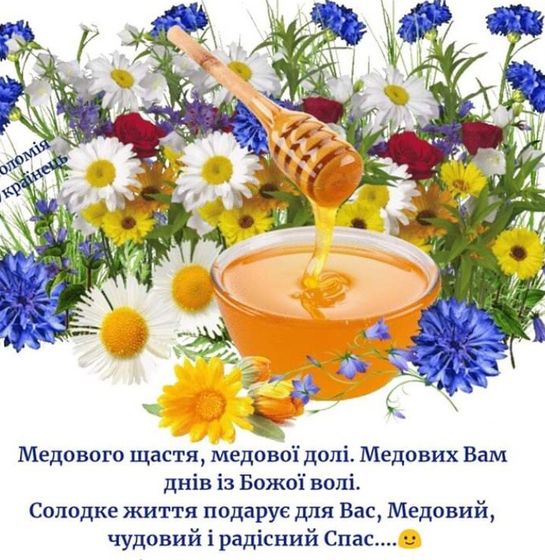 Фотография 2019-08-14 09:46:25