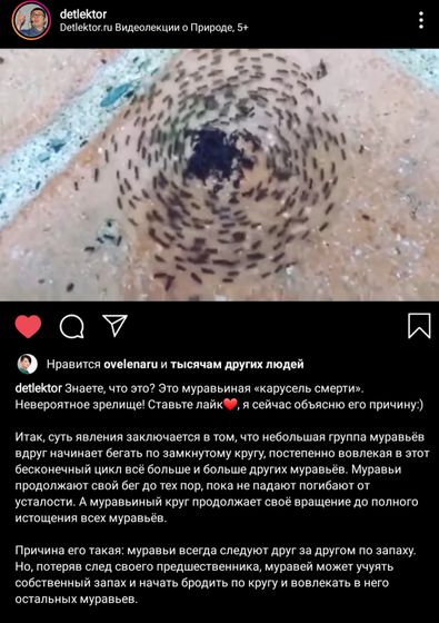 Как то так