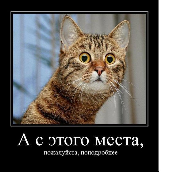 В интернете никто не знает, что ты - БОТ! Уйти или приколоться?