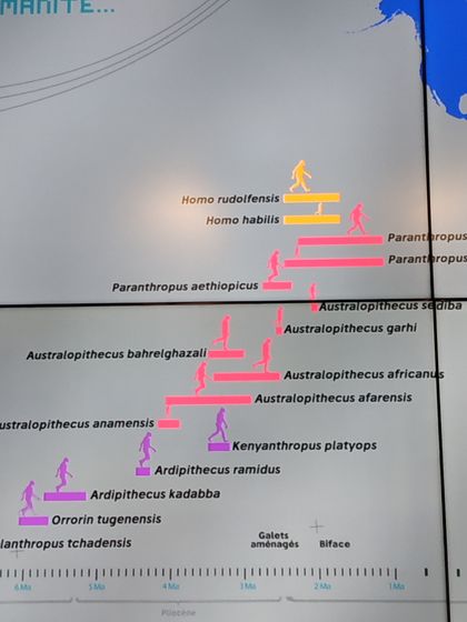 Посмотрели поселение древних людей Терра Амата. Всё в рамках нашего ТЗ- Эволюция.