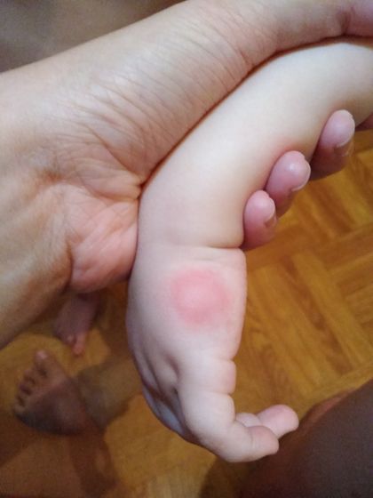 Подскажите, пожалуйста, на что похоже