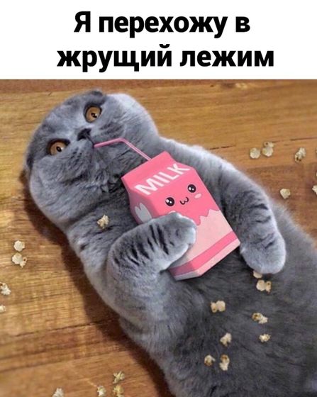 Фотография 2020-10-19 17:16:20