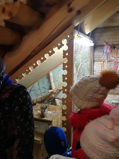 Поездка в Кострому. Ч.2. Терем Снегурочки и о снегурочках вообще