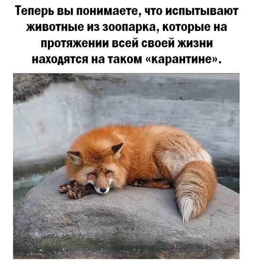 Есть о чём подумать