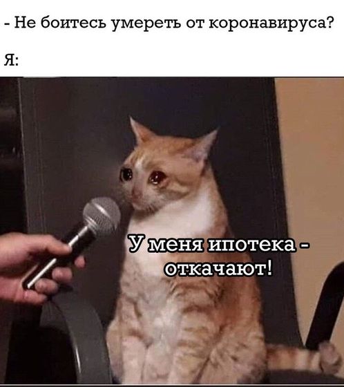 🤣🤣🤣бедняга
