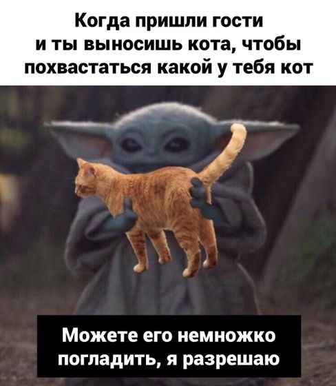 Девочки,эта картинка делает мой день! Я не могу не поделиться)