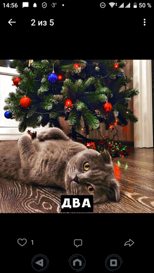 Котопост 🐱 🐱 🐱