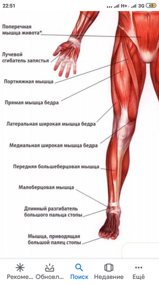 Даже не знаю как